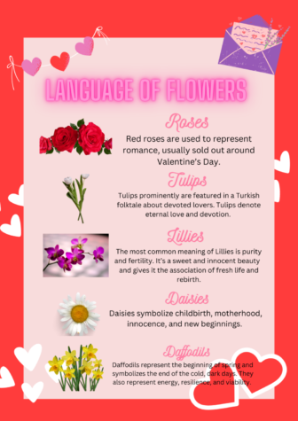 Language of Flowers